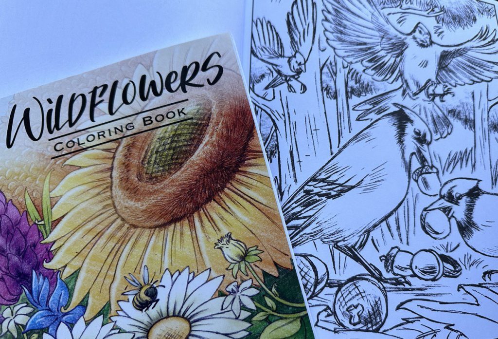 A photo of Crayola coloring books on Wildflowers and Birdwatching.