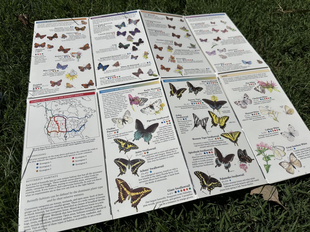 A photo of a butterfly fold-up guide fully open.