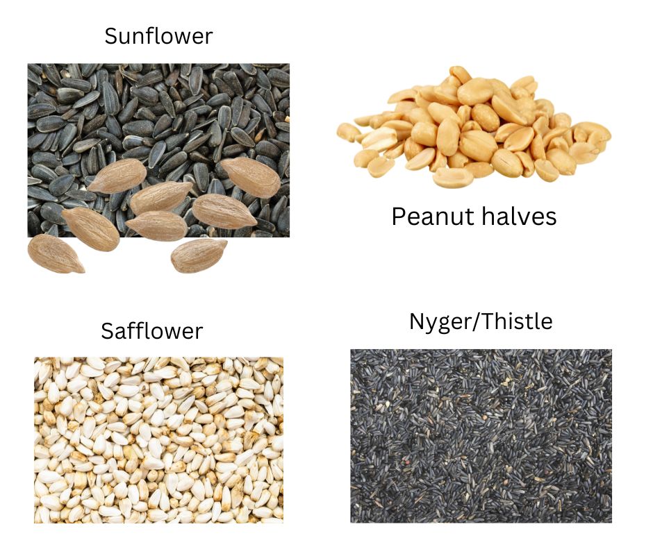 A graphic of different types of bird seed and nuts