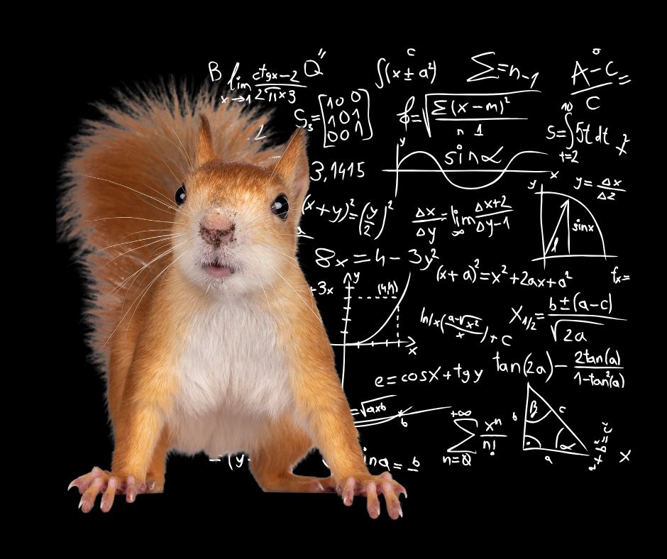 A graphic of a squirrel with math calculations in the background